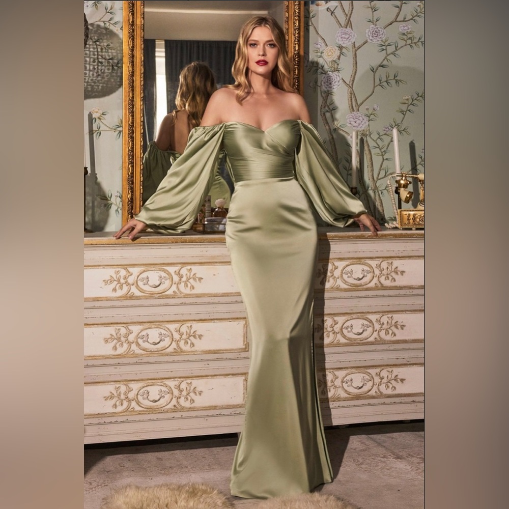 NWT Cinderella Gown